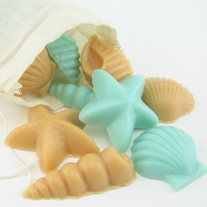 Light Blue and Sandy Brown Seashell Soy Wax Melts or Cake Decorations