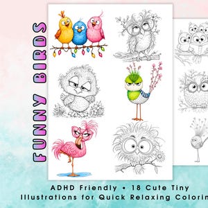 May include: A digital coloring page titled FUNNY BIRDS featuring eighteen illustrations of birds. The sheet includes colored and black-and-white line art of owls, a flamingo, and small birds on branches, with text reading ADHD Friendly 18 Cute Tiny Illustrations for Quick Relaxing Coloring.