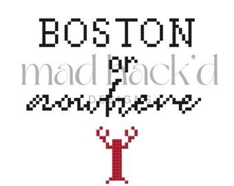 Boston or Nowhere-borduursteekkaart 13 mesh