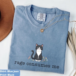 Funny Cat Meme Shirt, Rage Consumes Me, Oversize, Women, Mens, Sarcastic Kitten Graphic Tee, Unhinged Cat Lover Shirt, Retro Meme Top