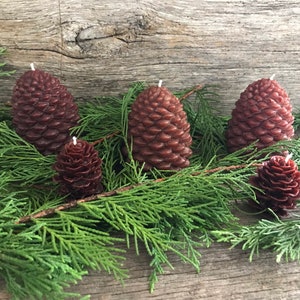Set of 3 Large & 2 Small Pinecone Shaped Beeswax Candles