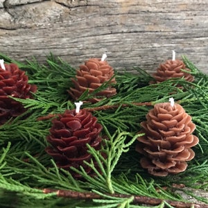 Set of 5 Pinecone shaped Pure Beeswax candles