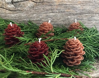 Set of 5 Pinecone shaped Pure Beeswax candles