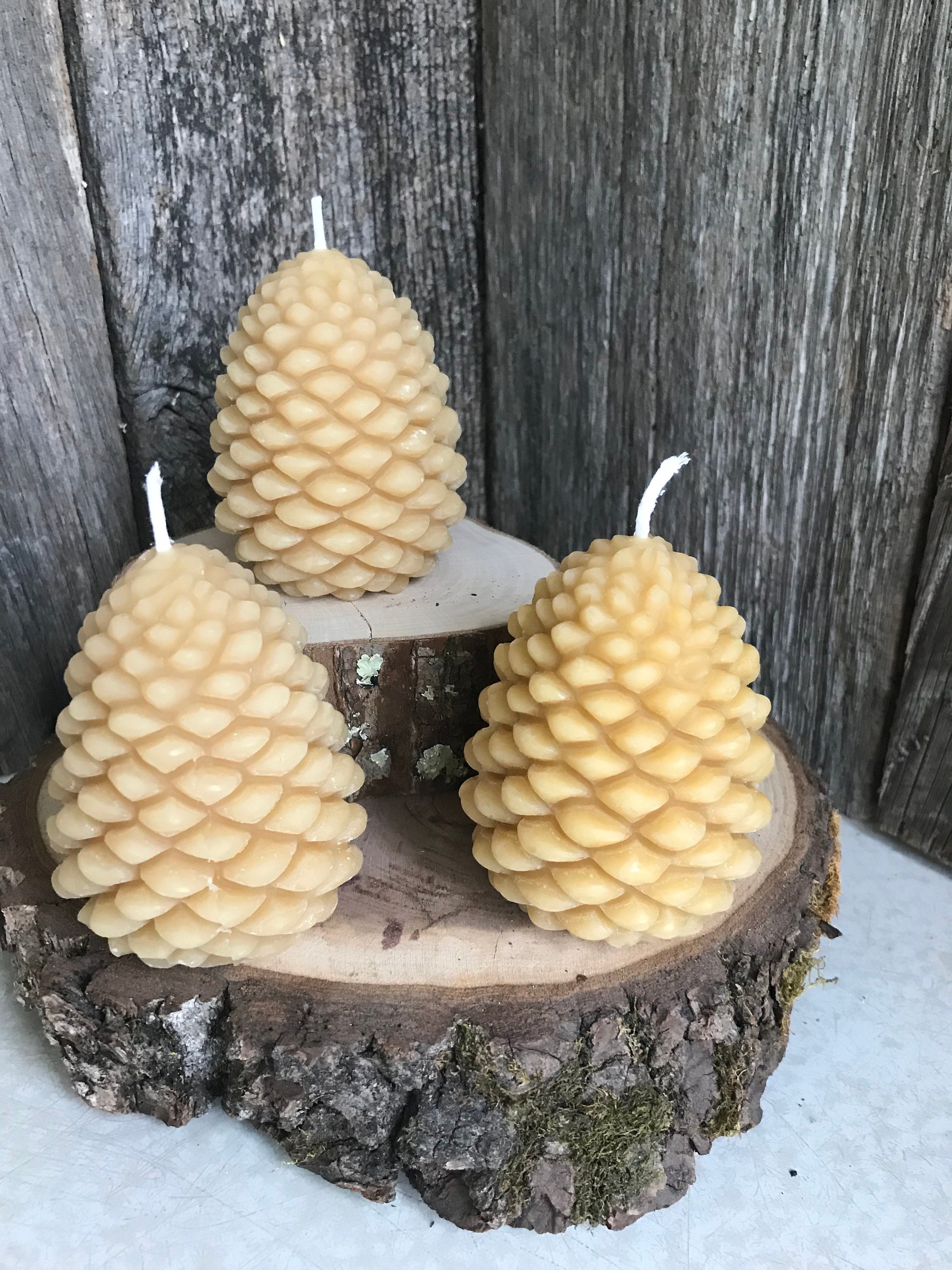 Pinecone Scented Soy Candles – Idea Land