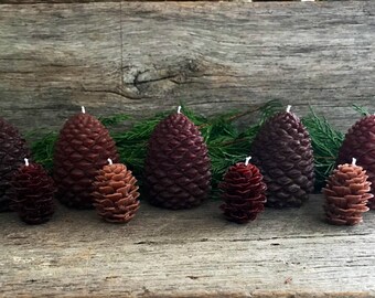 Set of 5 Large & 4 Small Pinecone Beeswax candles