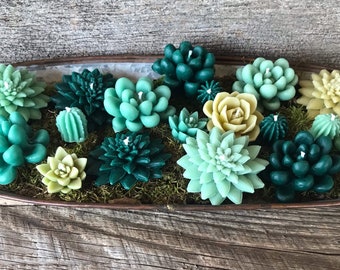 Set of 5 Succulent Shaped Pure Beeswax candles