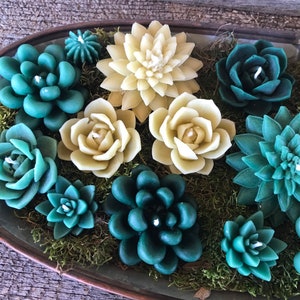 Set of 5 Succulent Shaped Pure Beeswax candles