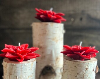 Set of 3 Birch Candle Holders with Beeswax Poinsettia