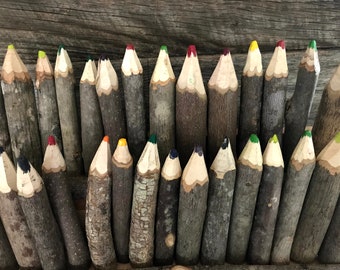 Set of 5 Sapling  ||  Twigs Crayons