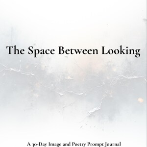 May include: A journal cover with the title "The Space Between Looking" in black text. The background has a light grey, textured appearance. Additional text reads "A 30-Day Image and Poetry Prompt Journal".