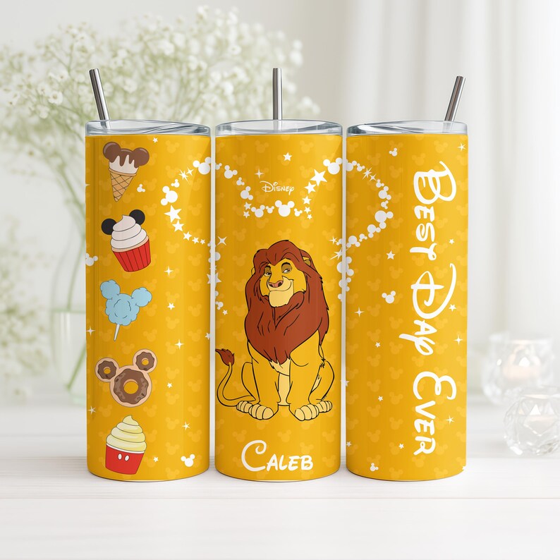 Custom All Disney Characters Tumbler, Personalized Family Matching Stainless Steel Cup, Disneyland Cruising Drinkware Gift