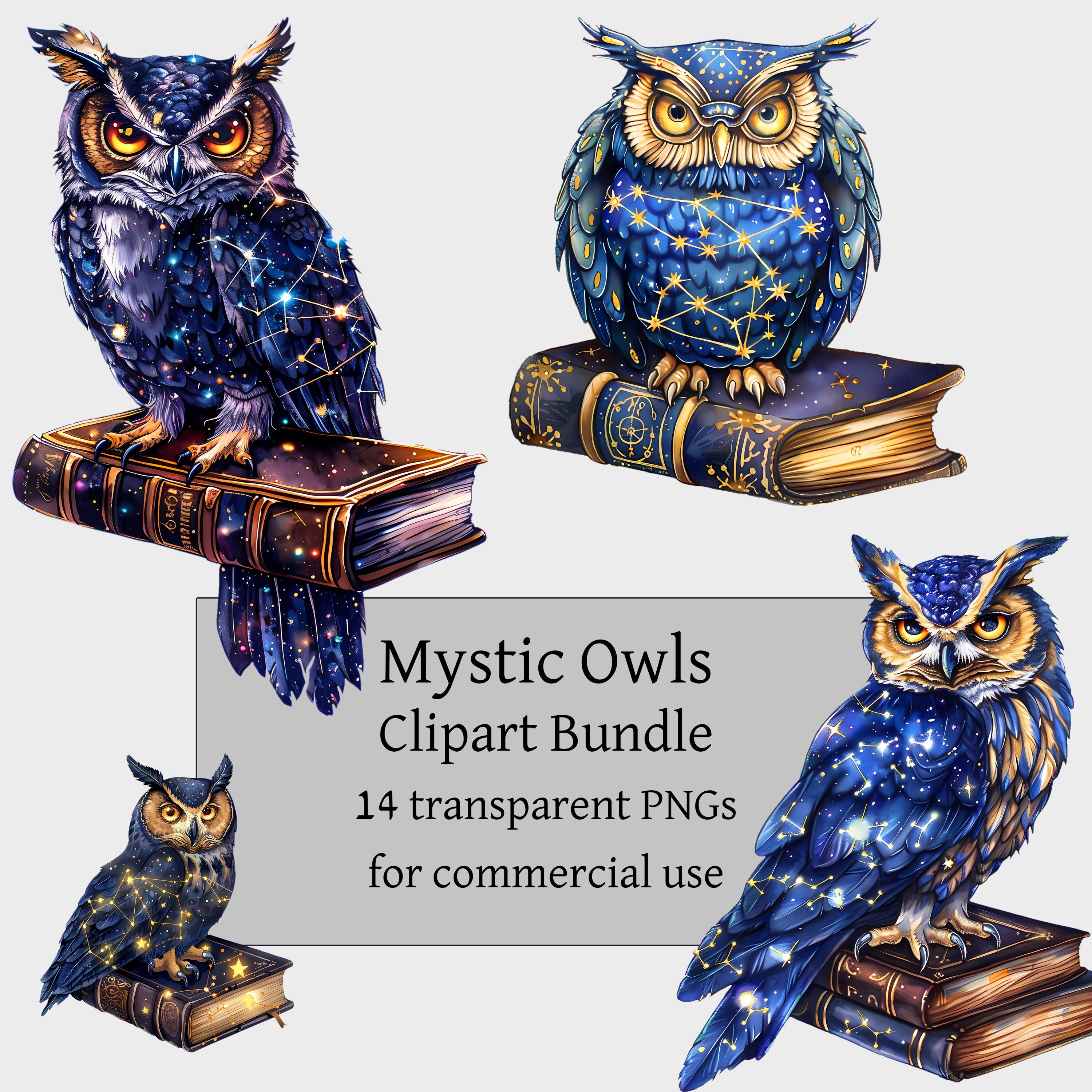 14 mystische Eulen auf B&uuml;chern Clipart, Weise Eule PNG, Aquarell Fantasy V&ouml;gel, Bookworm O