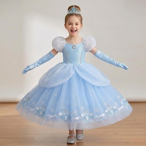 blue fairy godmother dress According to many stories Bedding size:Queen Cinderella costume Ropa Long satin dress Woman,