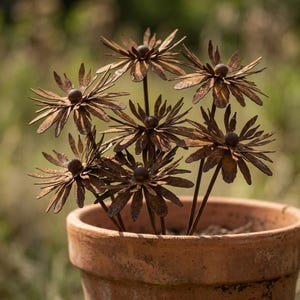 May include: A cluster of metal flower sculptures with a rusty brown finish, each with a central spherical detail. The flowers are arranged in a terracotta pot, creating a rustic garden accent. The background is blurred, suggesting an outdoor setting.