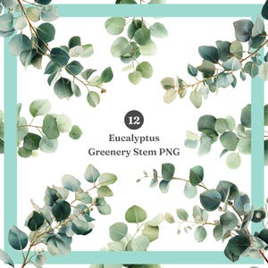 Eucalyptus Single Greenery Stem PNG, Botanical Greenery Design Asset, Layering Plant Element, Transparent Background