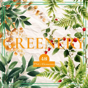 May include: Digital illustration featuring various green and orange foliage, including leaves and berries, arranged on a textured, off-white background. The word "GREENERY" is displayed in orange, along with the text "48 PNG Elements". A green border frames the design.