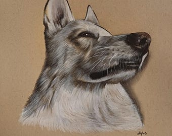 No AI- Realistic pet drawing made 100% by hand