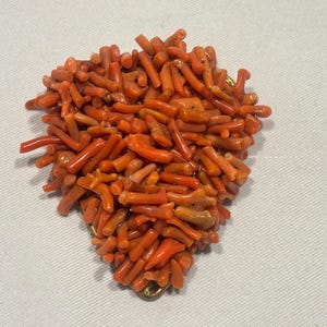 Unsigned Haskell Coral Dress Clip
