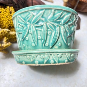 May include: A turquoise ceramic plant pot with a matching saucer, featuring a raised relief pattern of bamboo leaves and small dots. The glaze has a glossy finish with darker green accents in the recessed areas of the textured design.