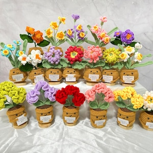 Handgjord virkad växt, blomma för emotionellt stöd, virkad nejlika/ringblomma/gardenia, tackpresent till lärare, vän, kollega