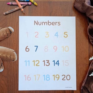 Op de afbeelding: Een witte educatieve poster met het woord Numbers bovenaan in bruine letters, gevolgd door de getallen 1 tot en met 20 in vier rijen. Elk cijfer is weergegeven in een andere pastelkleur, waaronder roze, blauw, geel en bruin.