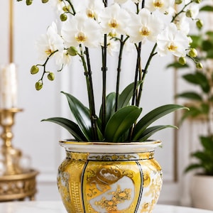 May include: A potted white orchid plant with multiple blooming flowers and green buds, housed in a decorative ceramic planter. The planter features a white and gold color scheme with intricate gold patterns and black outlines on its rounded body.