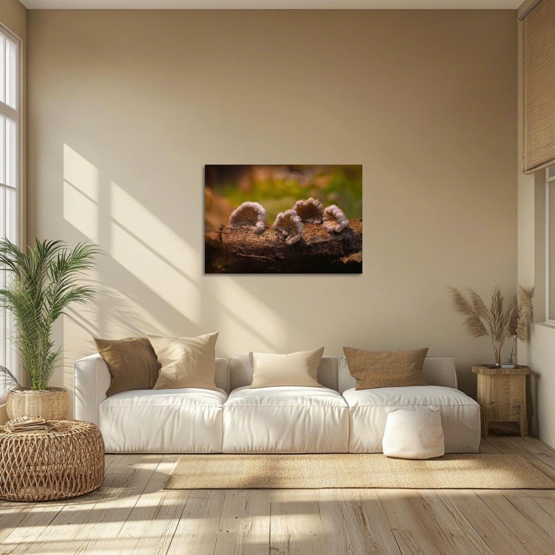 Woodland Mushroom Wall Art Canvas Nature Macro Photography Forest Fungi ...