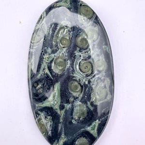 Kambaba Jaspis Cabochon: Handgjord oval ädelsten för smyckestillverkning (78 ct), (60x33x4 MM)