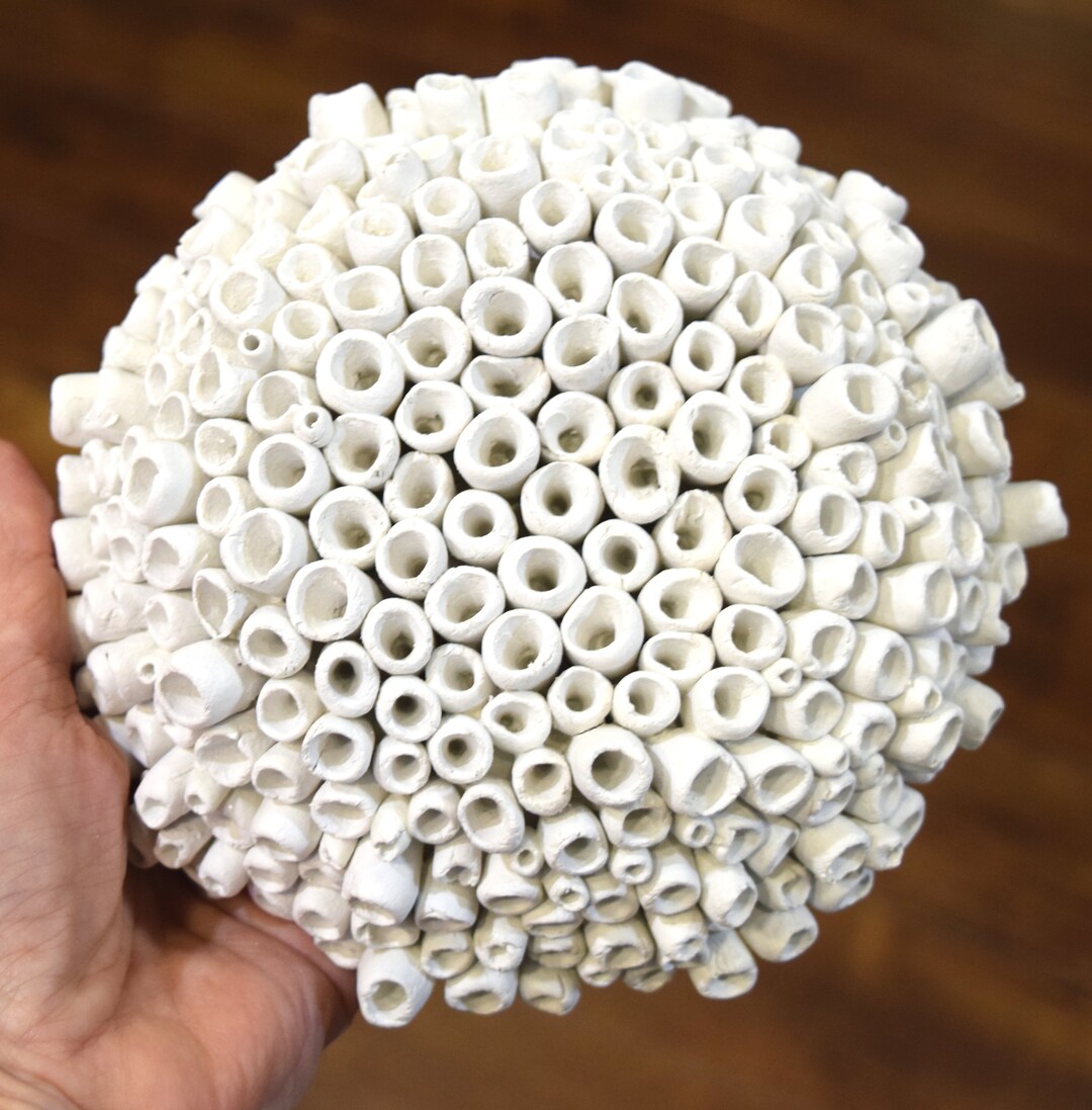 Coral Wall Sculpture, 3D Wall Art, Ocean Coral Reef Art, White Clay