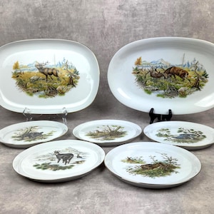 Könnte beinhalten: Ein Set aus weißem Keramikgeschirr, bestehend aus zwei großen ovalen Servierplatten und vier kleineren runden Tellern. Jedes Teil zeigt detaillierte, farbenfrohe Illustrationen verschiedener Wildtiere in natürlichen Landschaften.