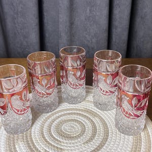 Kolekcja Hofbauer Byrdes 5 szklanek do drinków, rubinowoczerwony, kryształ ołowiowy 24%, dekoracja w kształcie ciętego ptaka, niemieckie szkło kryształowe vintage