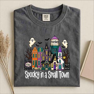 May include: A charcoal grey t-shirt featuring a colourful graphic of a small town with a water tower labelled Petersburg, two ghosts, bats, and bare trees. The text reads Spooky in a Small Town and 47567 on a sign. The shirt has a Comfort Colors label.
