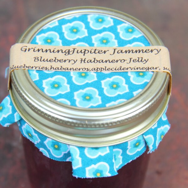 Homemade Blueberry Habanero Jelly - 8oz jar