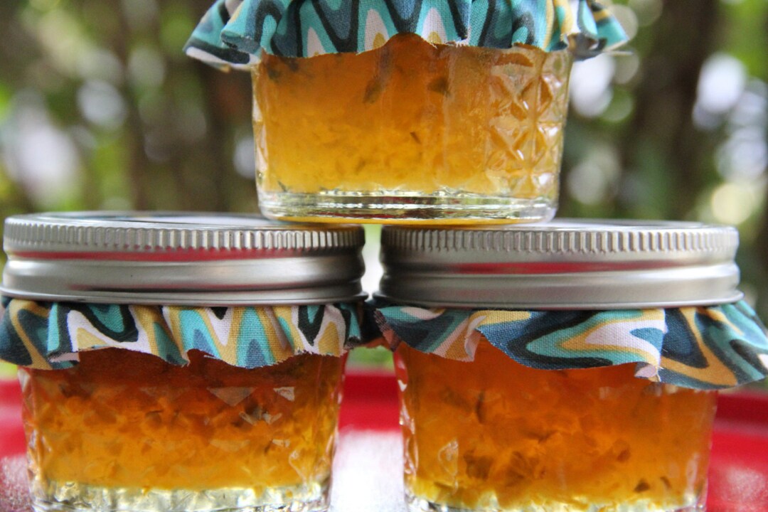 Homemade Apricot Pepper Jelly 4oz Etsy