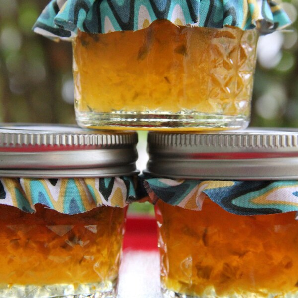 Homemade Apricot Pepper Jelly - 4oz