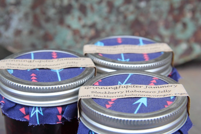 Homemade Blackberry Habanero Jelly 8oz Jar Etsy