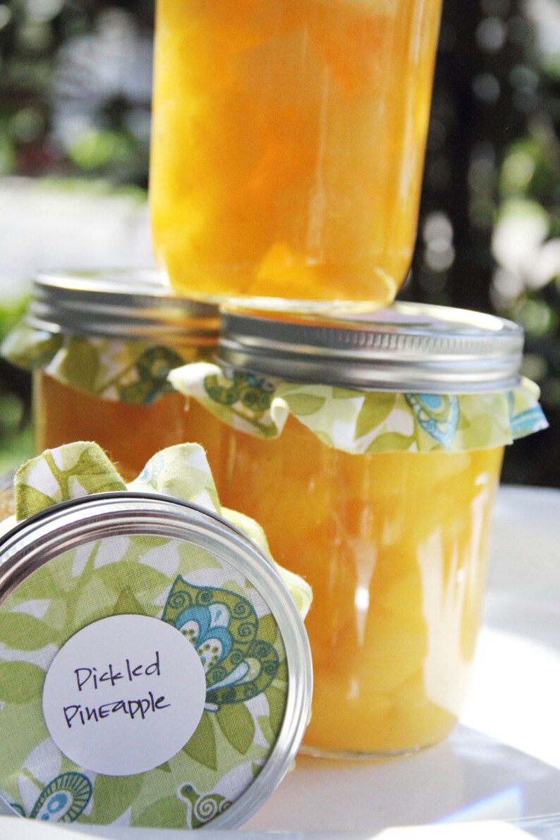 Homemade Pickled Pineapples 8oz Etsy