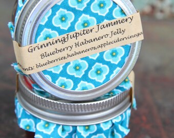 Homemade Blueberry Habanero Jelly - 4oz jar