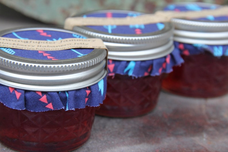 Homemade Blackberry Habanero Jelly 4oz Jar Etsy