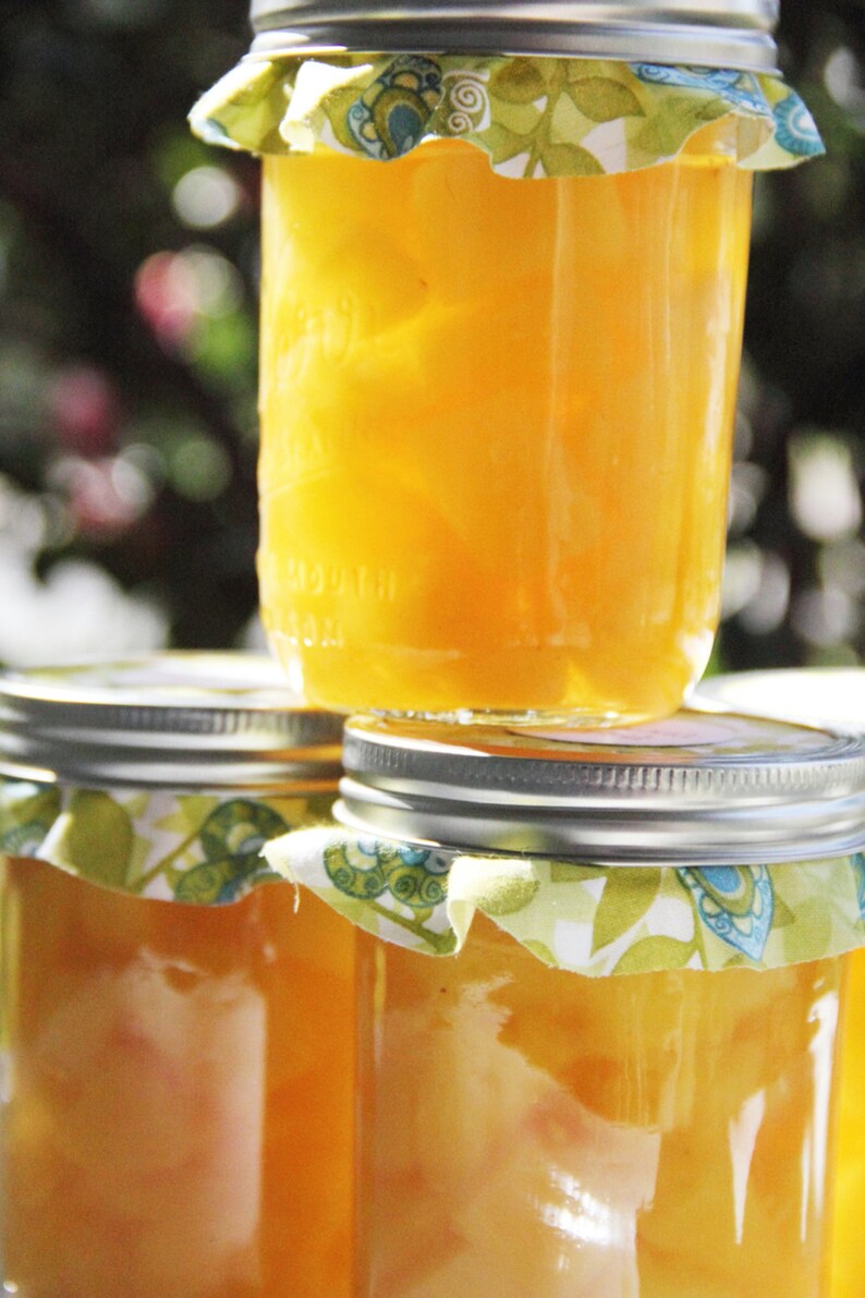 Homemade Pickled Pineapples 16oz Etsy