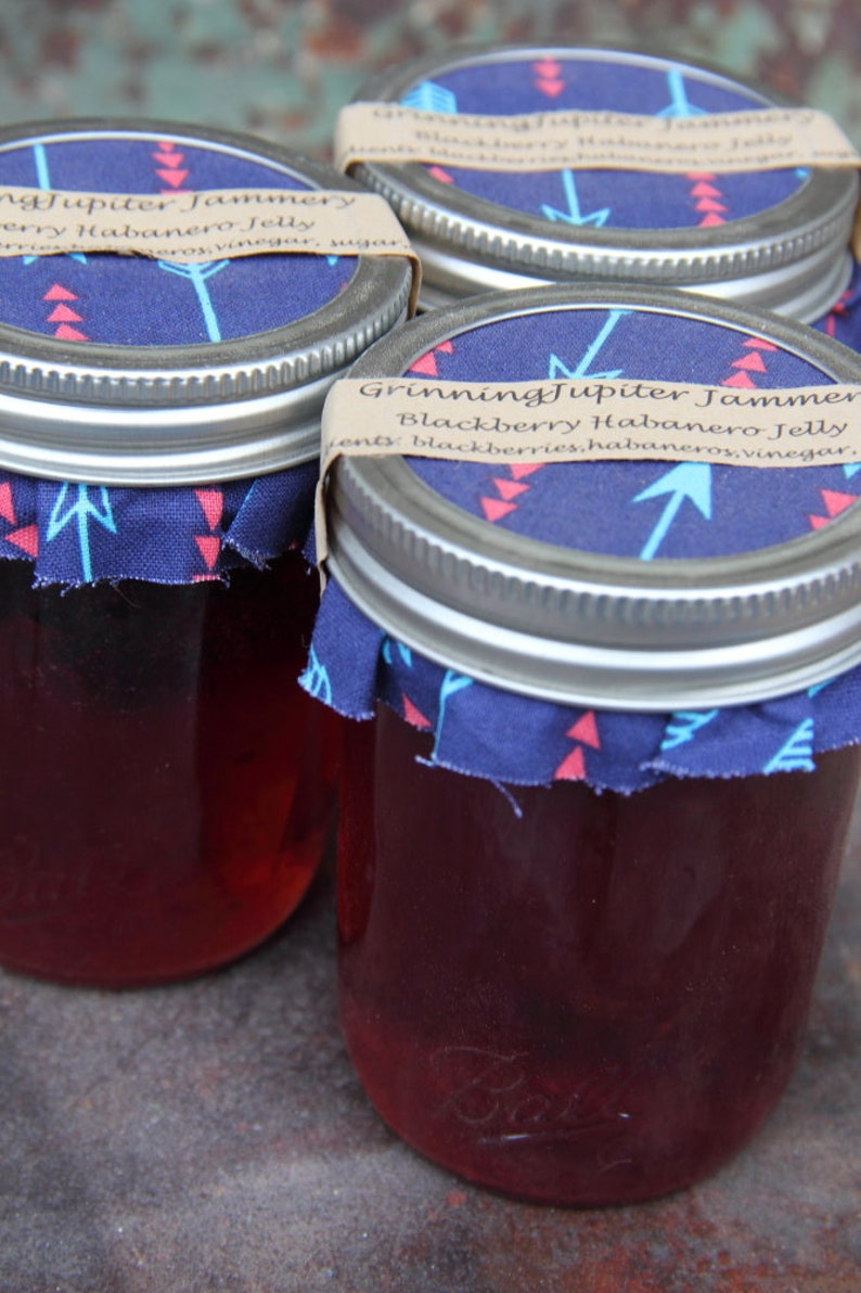 Homemade Blackberry Habanero Jelly 8oz Jar Etsy