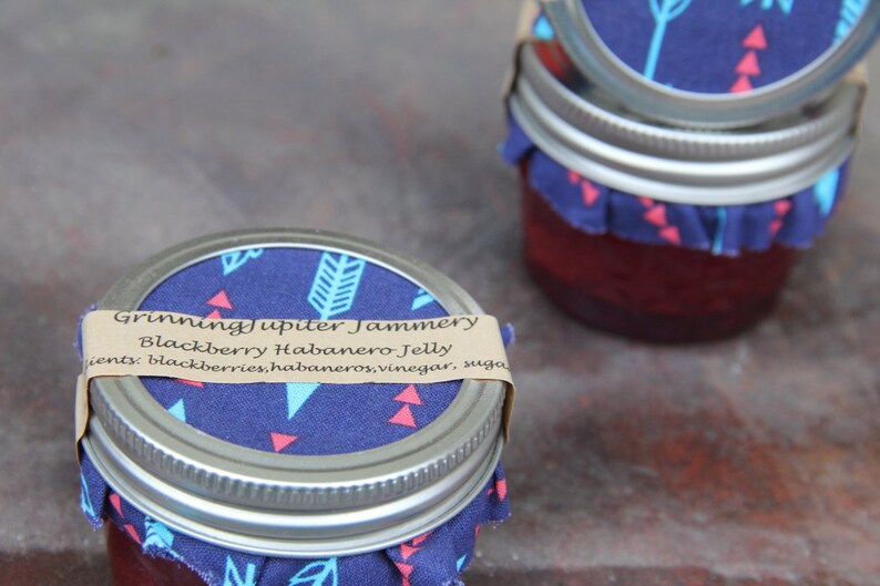 Homemade Blackberry Habanero Jelly 4oz Jar Etsy