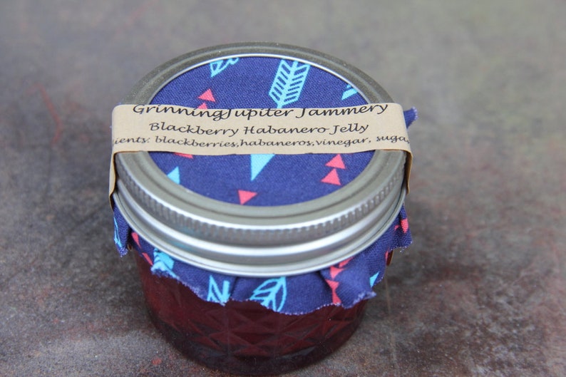 Homemade Blackberry Habanero Jelly 4oz Jar Etsy