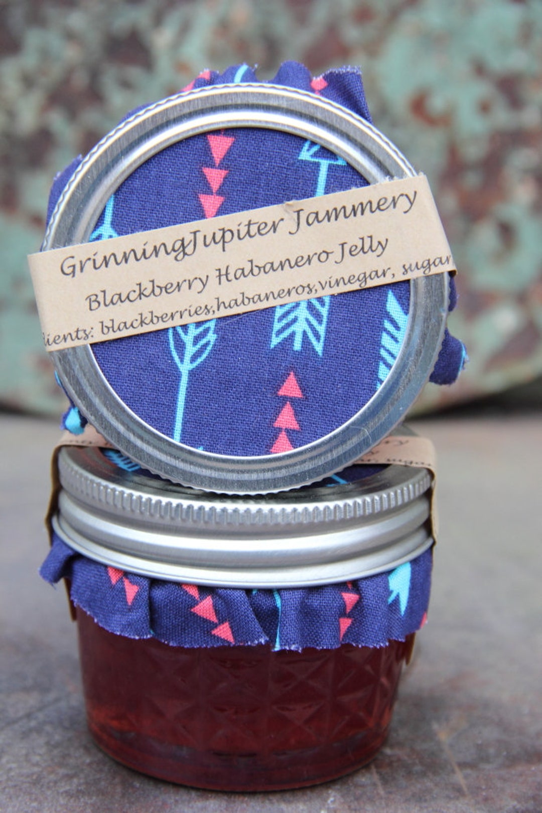 Homemade Blackberry Habanero Jelly 4oz Jar Etsy