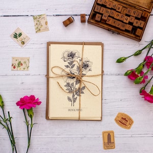 Pack of 4: Botanical Illustration Note Card Set | Recycled Greeting Cards Set | Floral Art Cards Multipack | Floral Greeting Cards