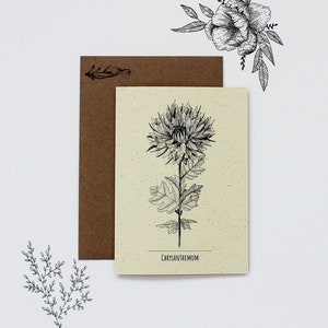 Chrysanthème - Carte de vœux d’illustration botanique (fr) Carte de vœux recyclée (fr) Carte d’art floral (fr) Cartes de vœux florales