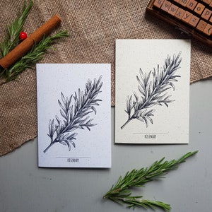 Cartoline di Natale al rosmarino-botanico / Set di biglietti d'auguri riciclati / Biglietti d'arte di Natale / Biglietti di auguri di Natale naturali