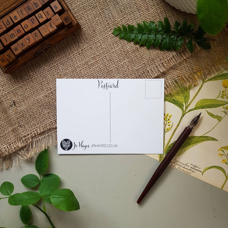 Small Print Sets Mixed Print Bundle Illustrated Animal Postcards Animal Postcard Pack : Pack of 4