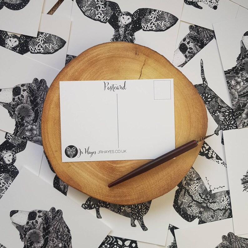 Small Print Sets Mixed Print Bundle Illustrated Animal Postcards Animal Postcard Pack : Pack of 4