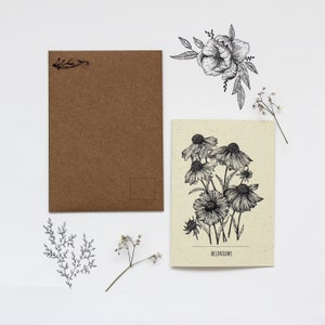 Heleniums - Carte de voeux d’illustration botanique | Carte de voeux recyclée | Carte d’art floral | Cartes de vœux florales